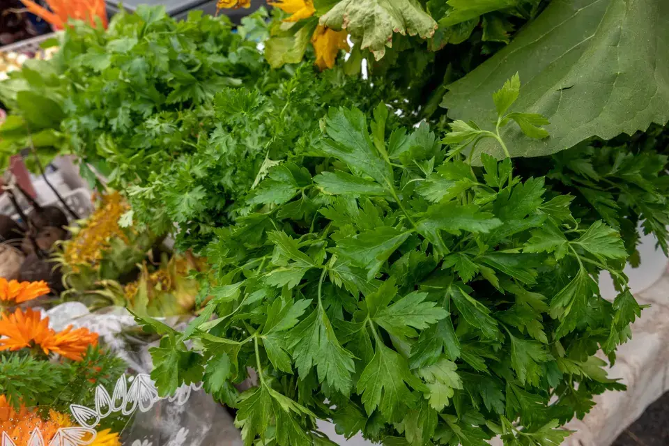 Exploring Mexico, Missouri in Mexico